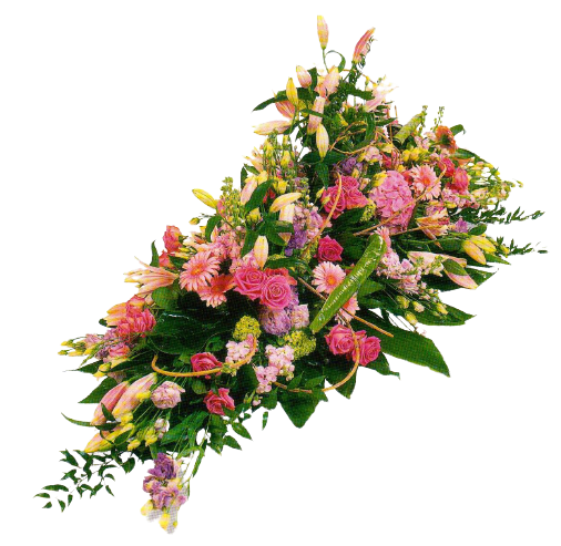 Dessus de cercueil pastel