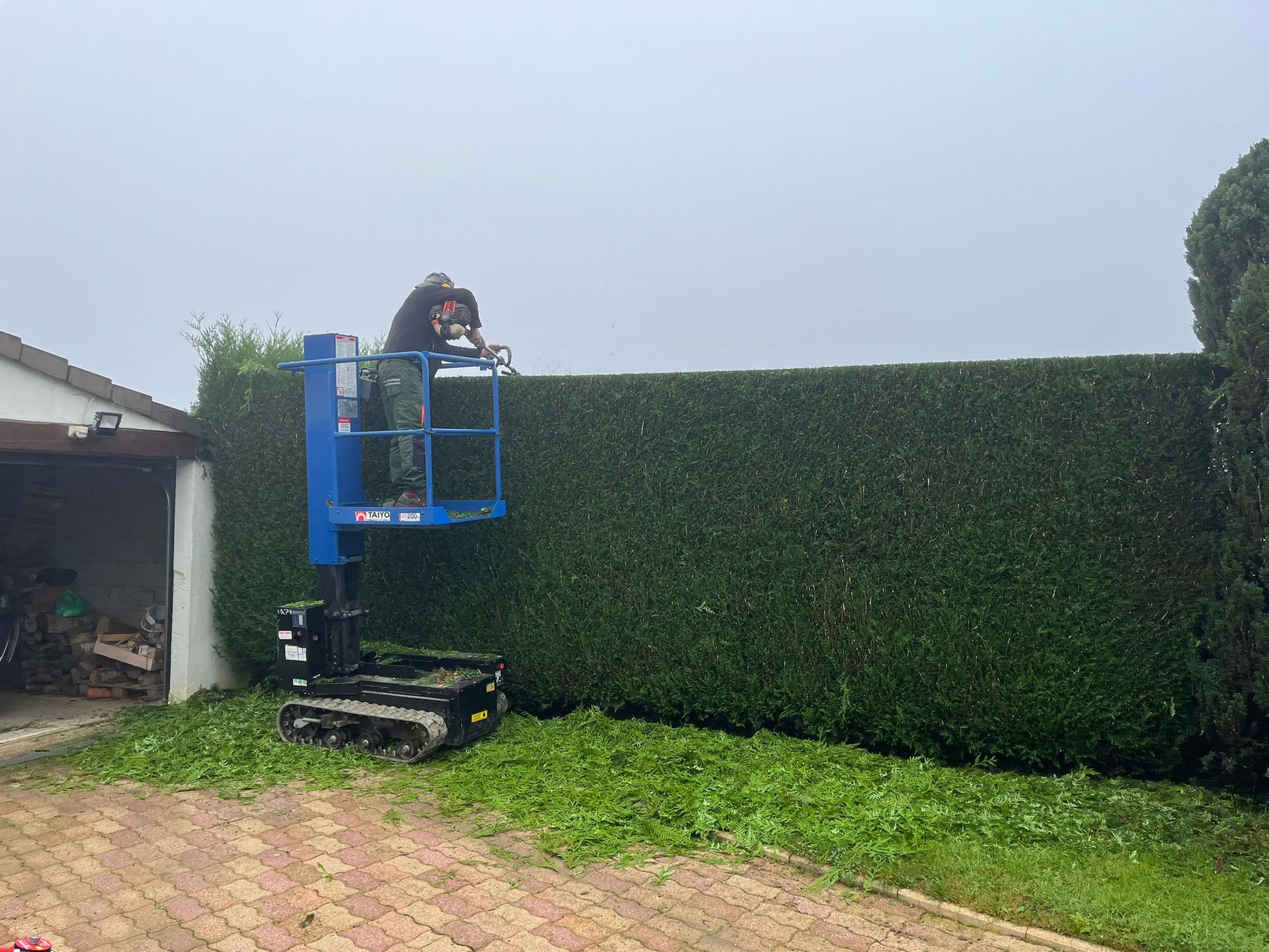 Taille de haie avec un échaffaudage électrique