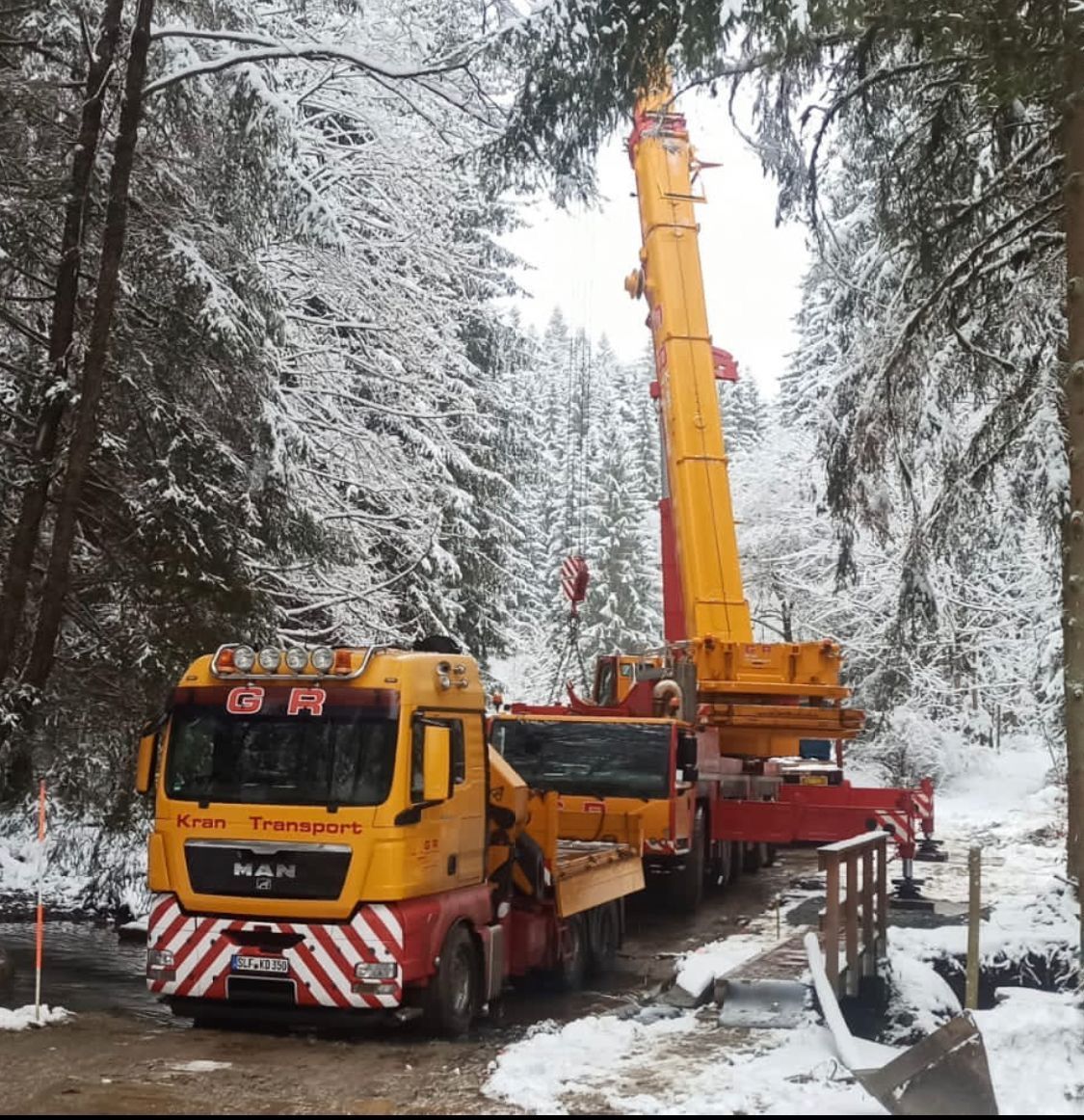 Kran im Wald