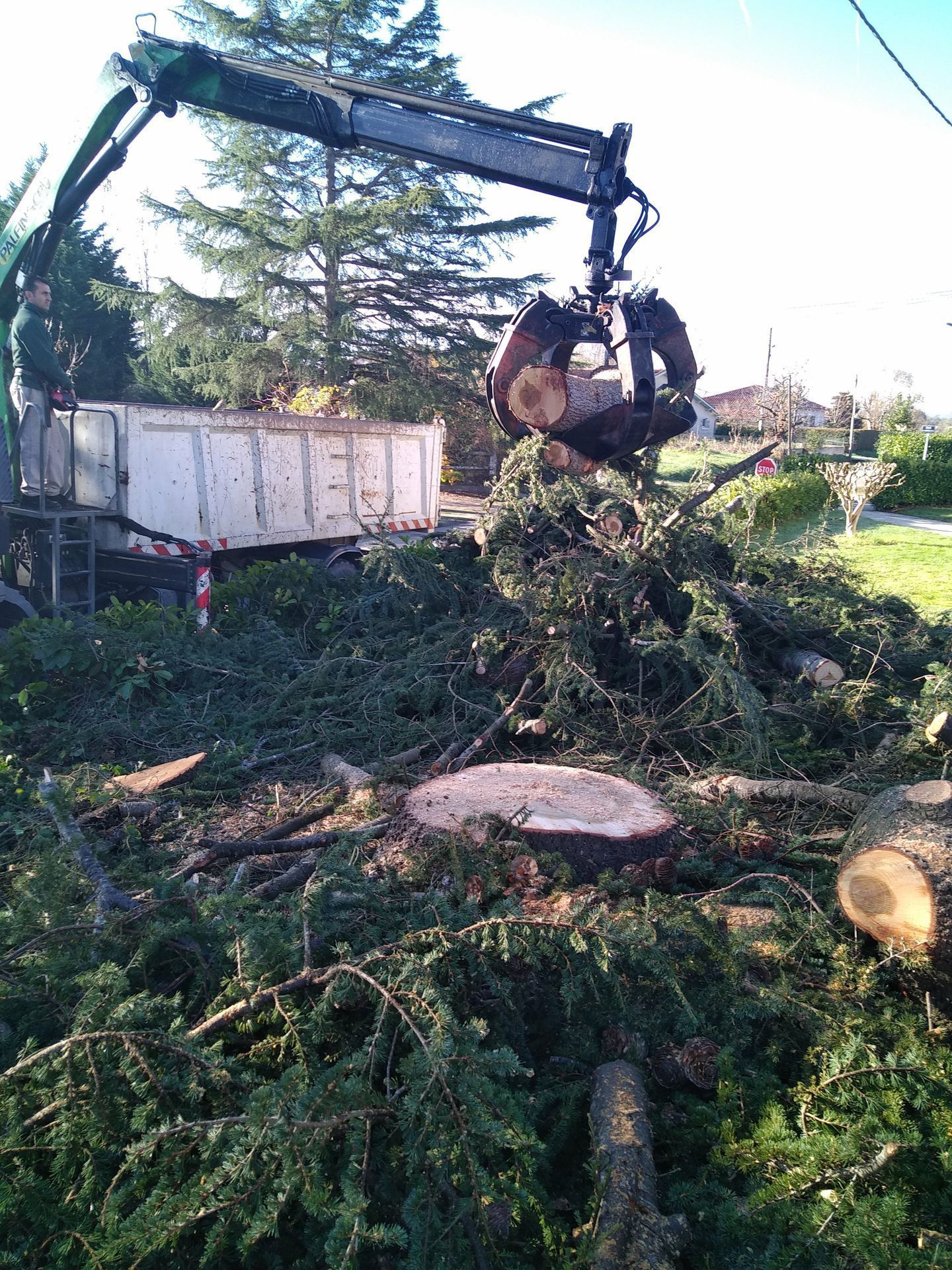 Évacuation d'un arbre