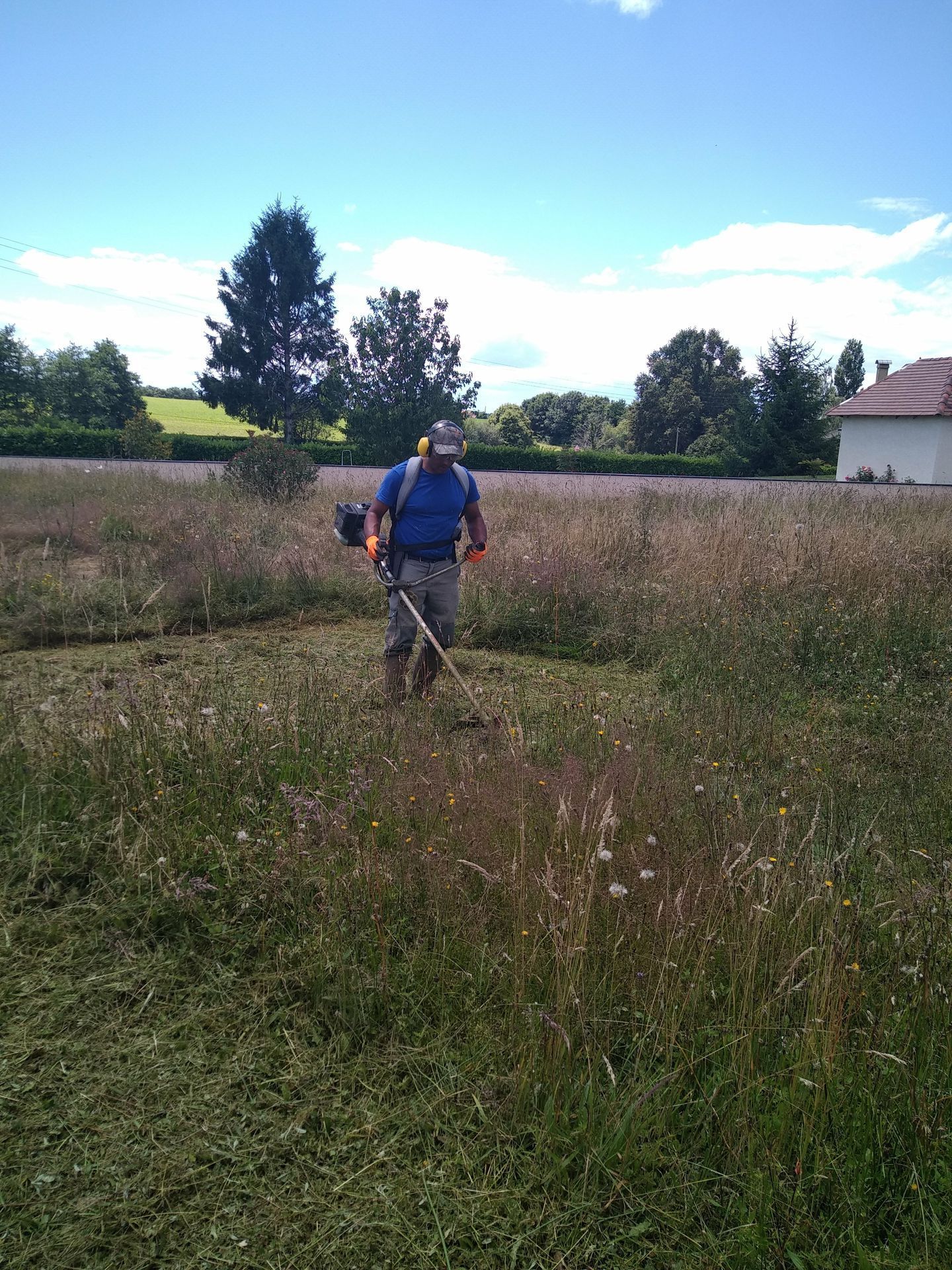 Débrouissallage de champ