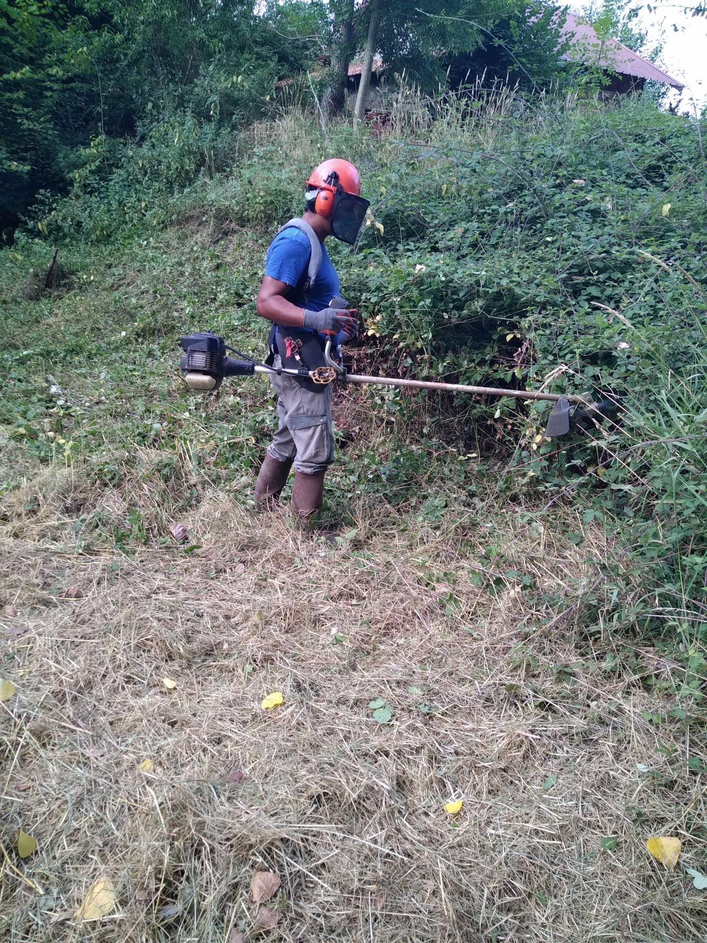 Débrouissallage de terrain