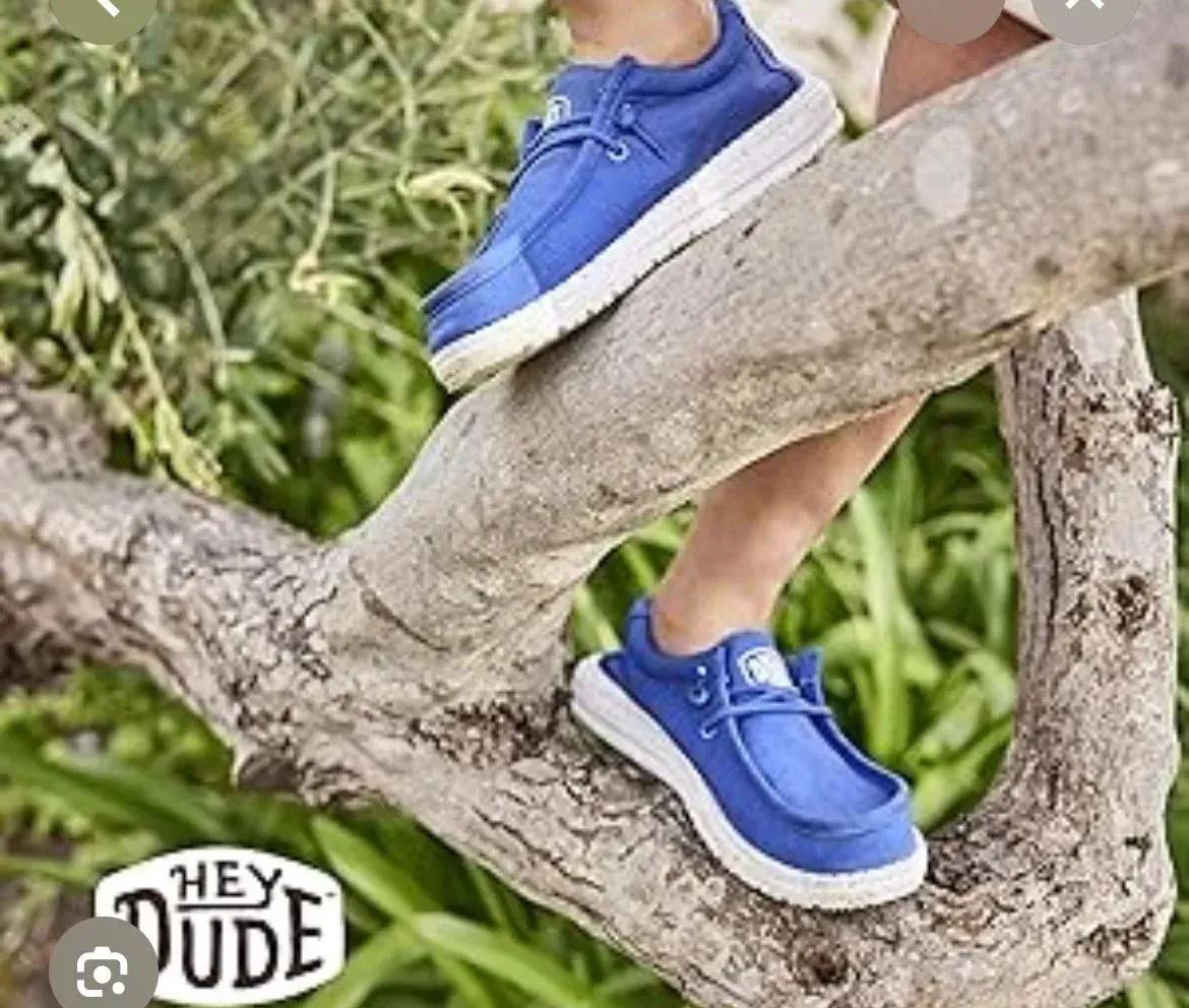 Zapatos azules Hey Dude en la rama de un árbol, suelas blancas, follaje verde, logo 