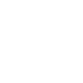 roue brillante