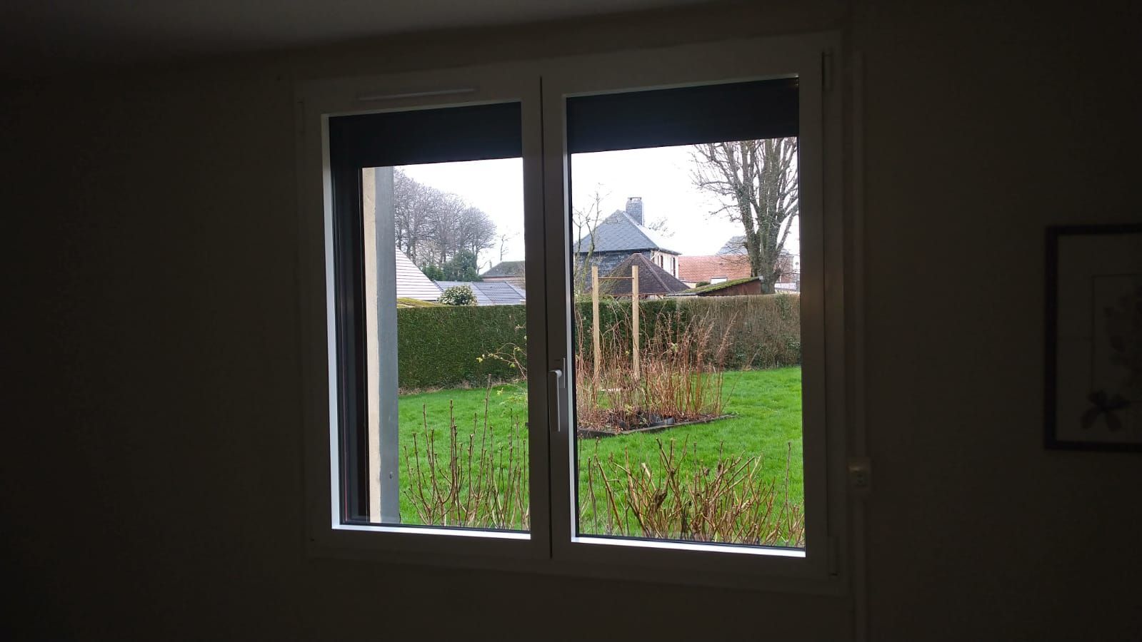 Vue par une fenêtre sur un jardin verdoyant avec une haie, des arbres et une maison au loin.
