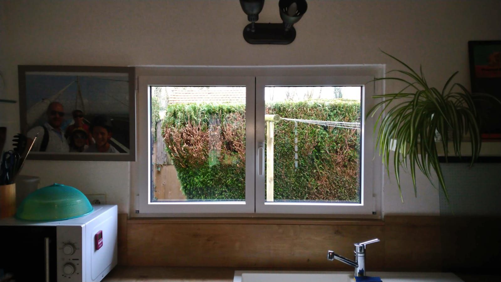 Fenêtre de cuisine au-dessus de l'évier avec cadre blanc, buissons verts à l'extérieur et plante en pot sur la droite.