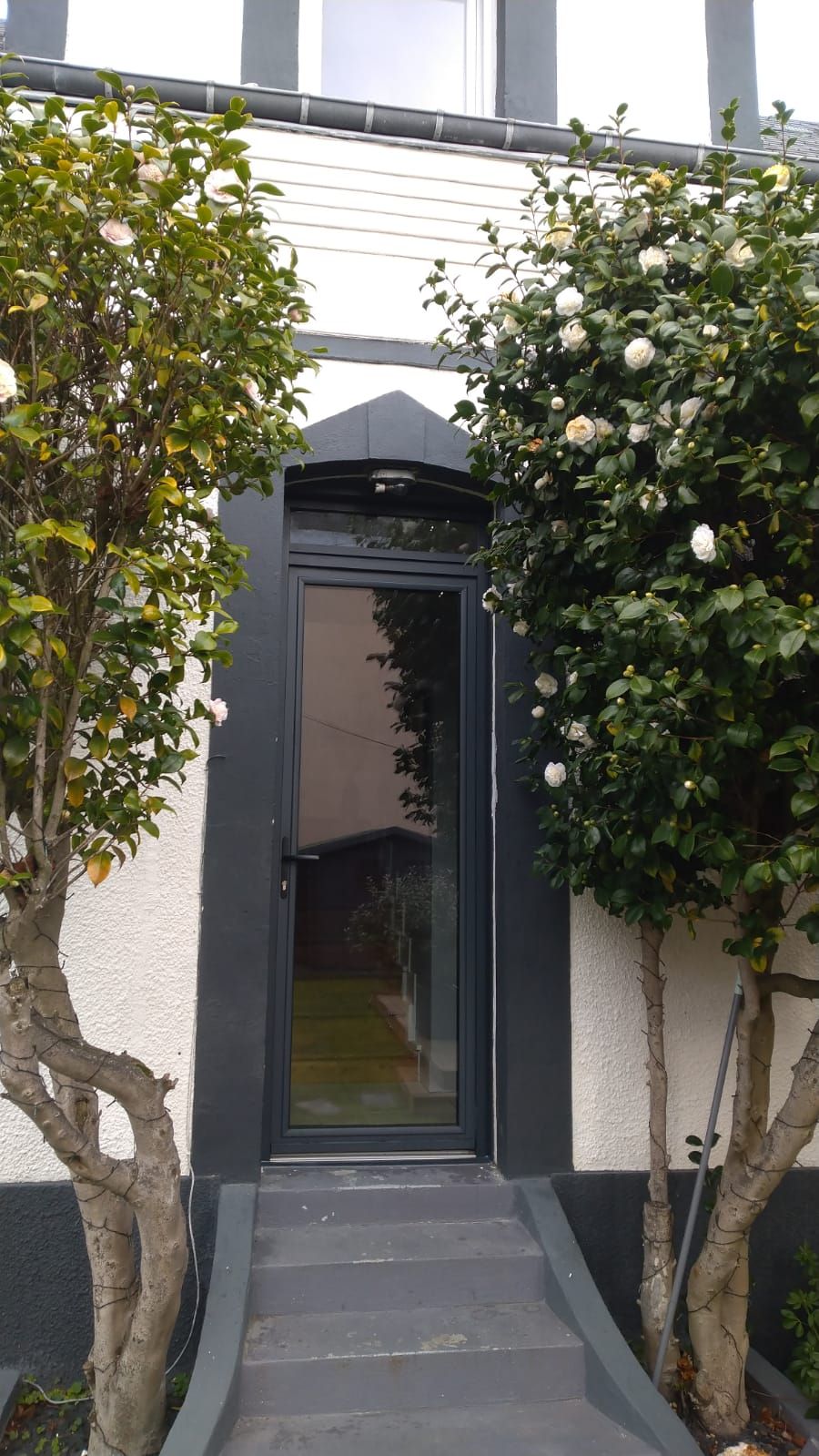 Entrée principale avec une porte en verre foncé encadrée de murs blancs et flanquée d'arbres et d'arbustes feuillus.