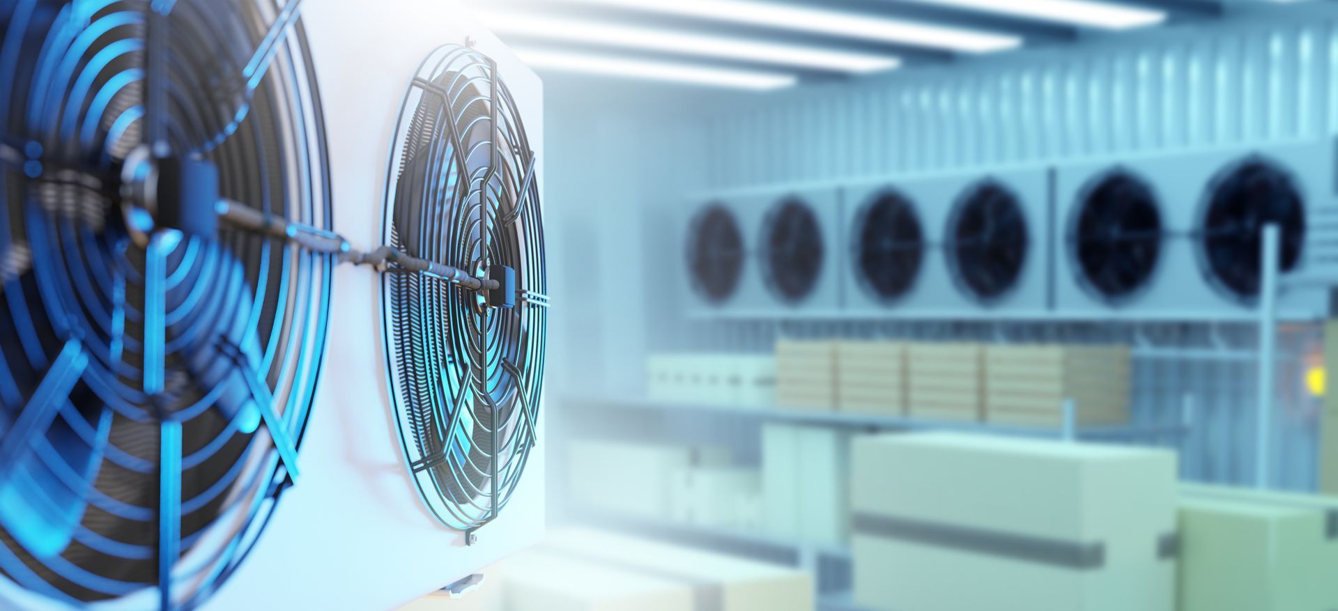 Eine Person öffnet die Tür eines weissen Kühlschranks in einer Küche; ihre Hand ist sichtbar. Gemüse liegt auf einem Tisch.