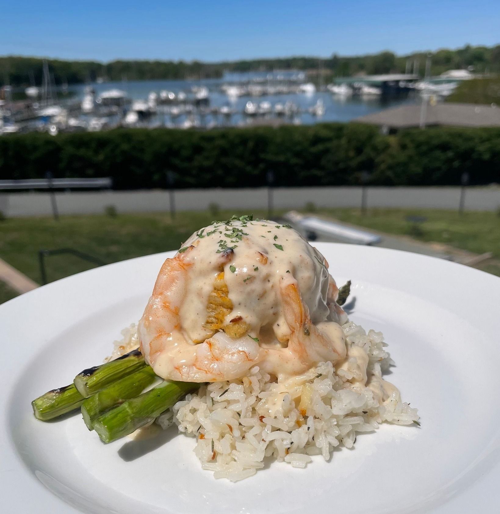 A white plate topped with shrimp , rice and asparagus.