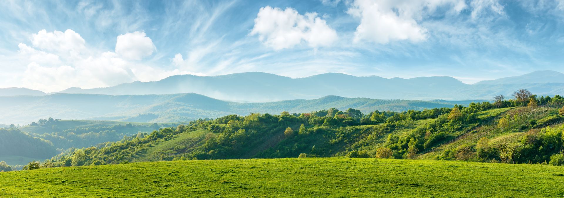 Des collines verdoyantes et une prairie luxuriante mènent à une chaîne de montagnes lointaine sous un ciel d'un bleu éclatant.