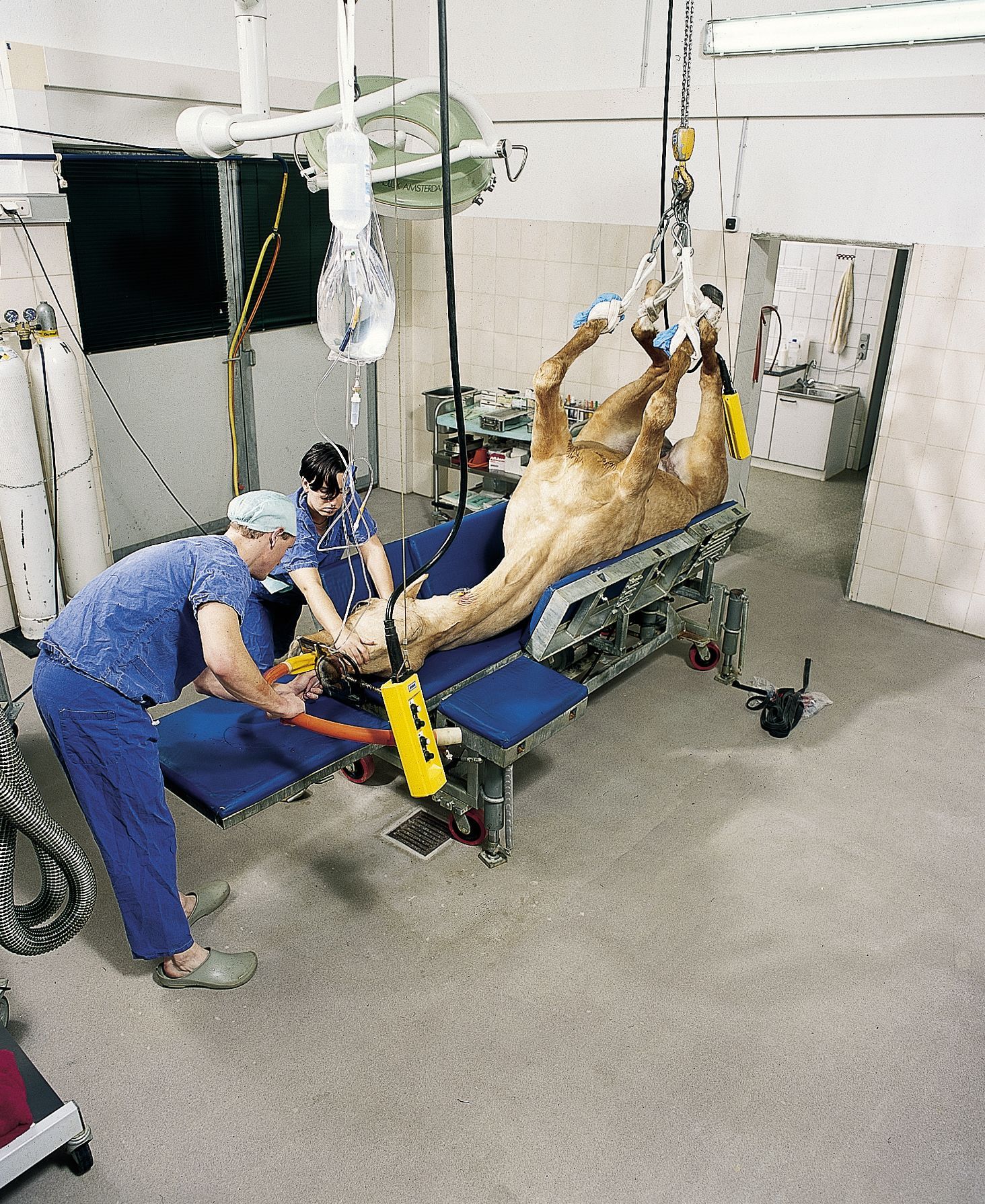 Referenzen Tierkliniken und -praxen