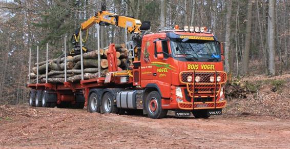 VOGEL GERARD (Sté d'exploitation)