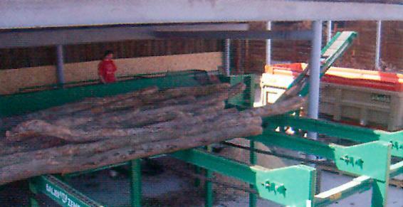 Production de bois de chauffage
