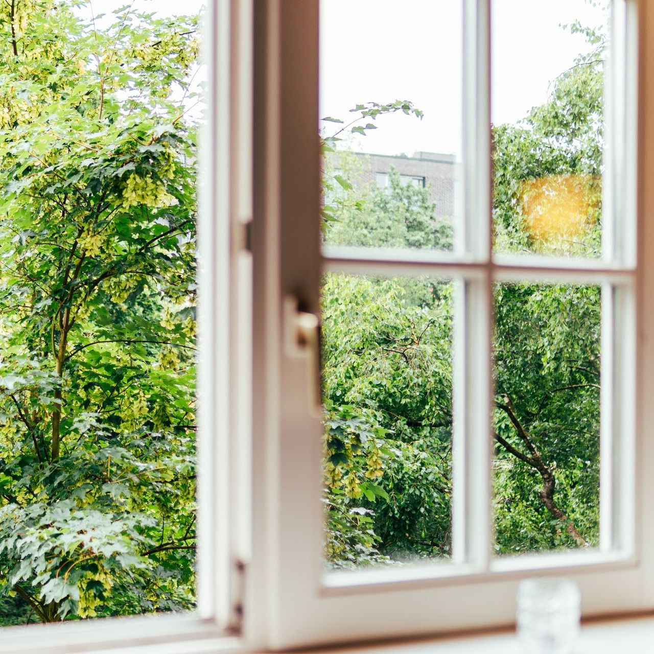 Eine Frau sitzt an einem Schreibtisch vor einem Fenster und arbeitet am Laptop. Hinter ihr steht ein großer Strauß Blumen.