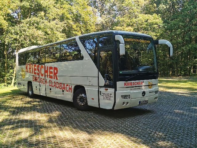 Ein weißer Bus steht auf einem Parkplatz vor einem Waldstück.