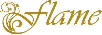 logo Flame