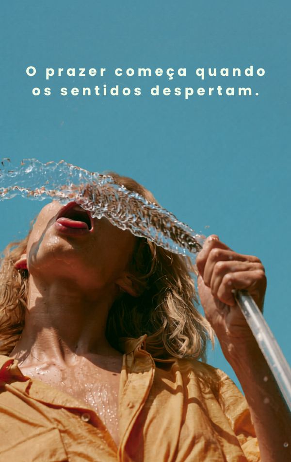 personal shopping artigos sexuais Flame