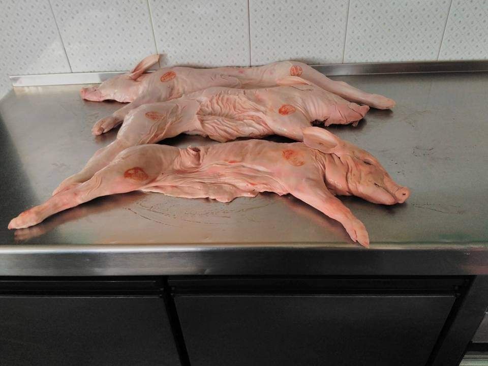 Tres lechones enteros crudos sobre una superficie de acero inoxidable, listos para su preparación.