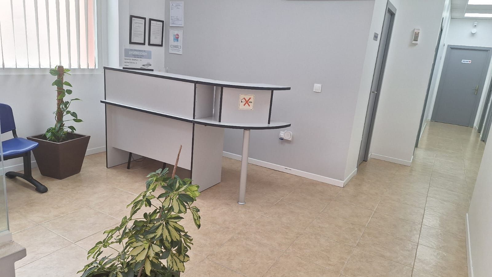 Vestíbulo de oficina vacío con un mostrador de recepción, una silla azul, plantas en macetas y puertas de pasillo.
