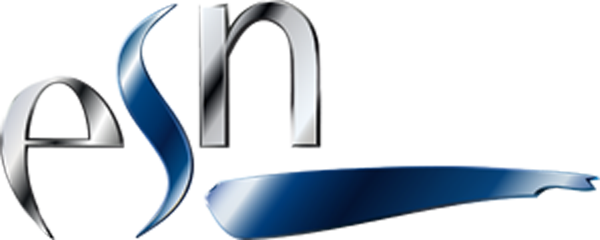 ESN Logo mit grau/ blauer Metalic Schrift