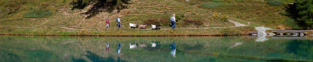 Yak'à'Oser 