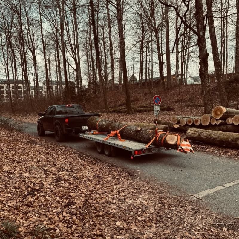 Un camion tire une remorque remplie de grumes sur une route.