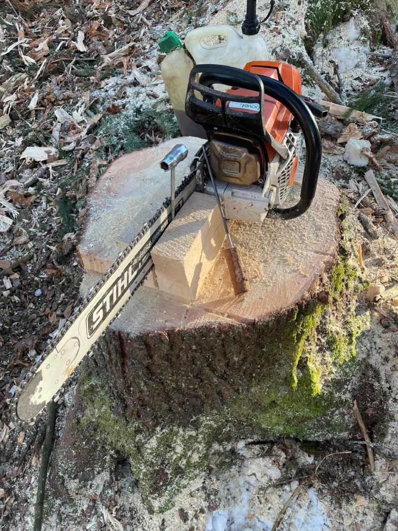 Une tronçonneuse est posée sur une souche d'arbre.