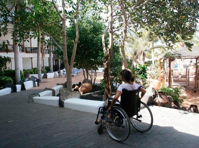 Persona en silla de ruedas en un sendero pavimentado en un patio con árboles.