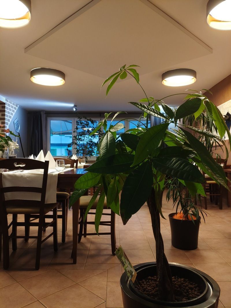 Ristorante Pizzeria Bella Napoli GmbH