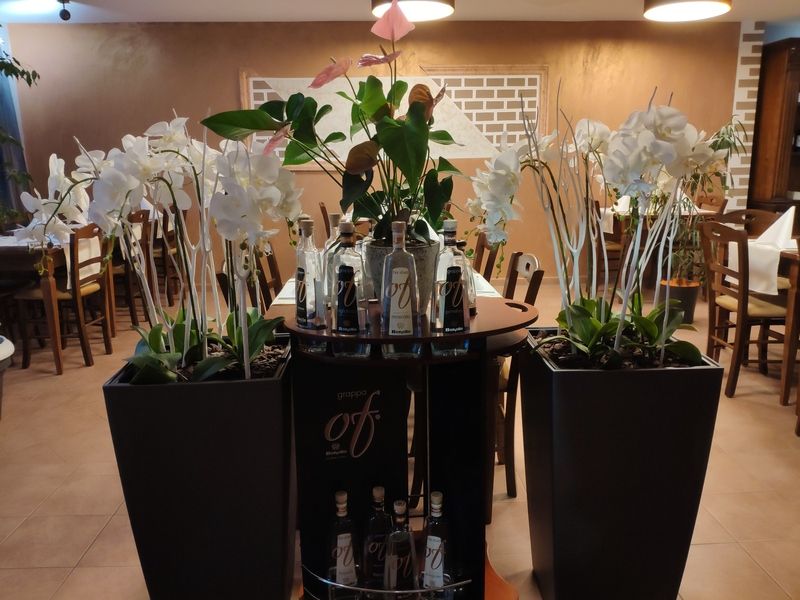 Ristorante Pizzeria Bella Napoli GmbH