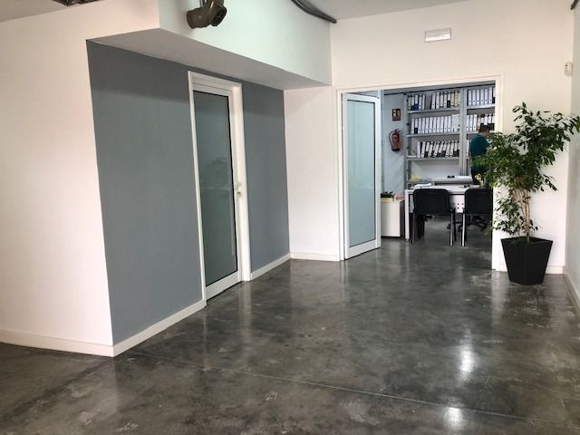 Un interior de oficina luminoso con suelos de hormigón pulido, una pared decorativa de color gris, puertas blancas y una planta en maceta en la esquina.