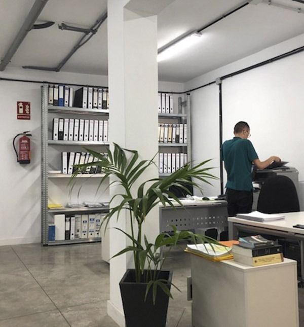Una persona con una camisa verde trabaja en una impresora en una oficina minimalista con estantes llenos de carpetas y una palmera en maceta.