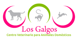 logotipo cabecera