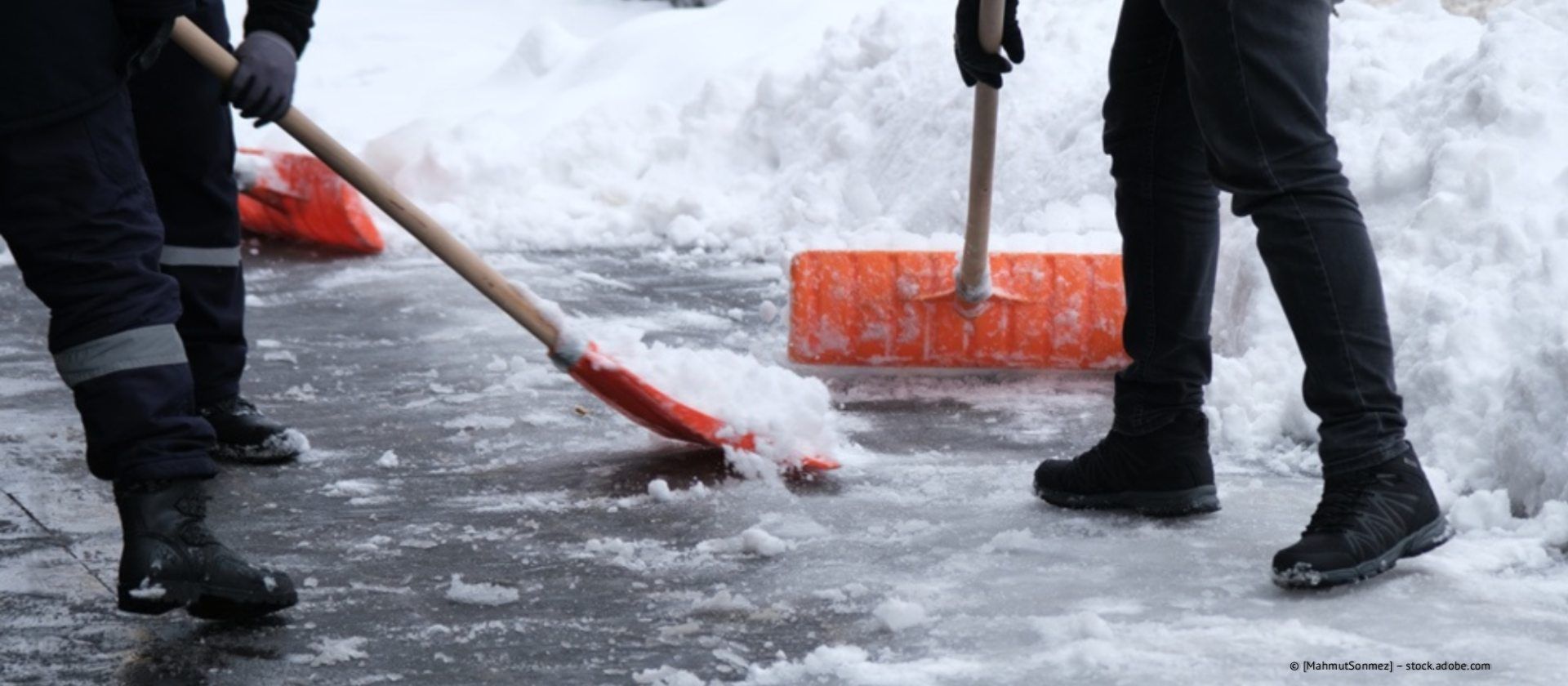 Ein gelber Kompaktlader räumt im Winter Schnee in der Nähe von geparkten Autos und Bäumen.