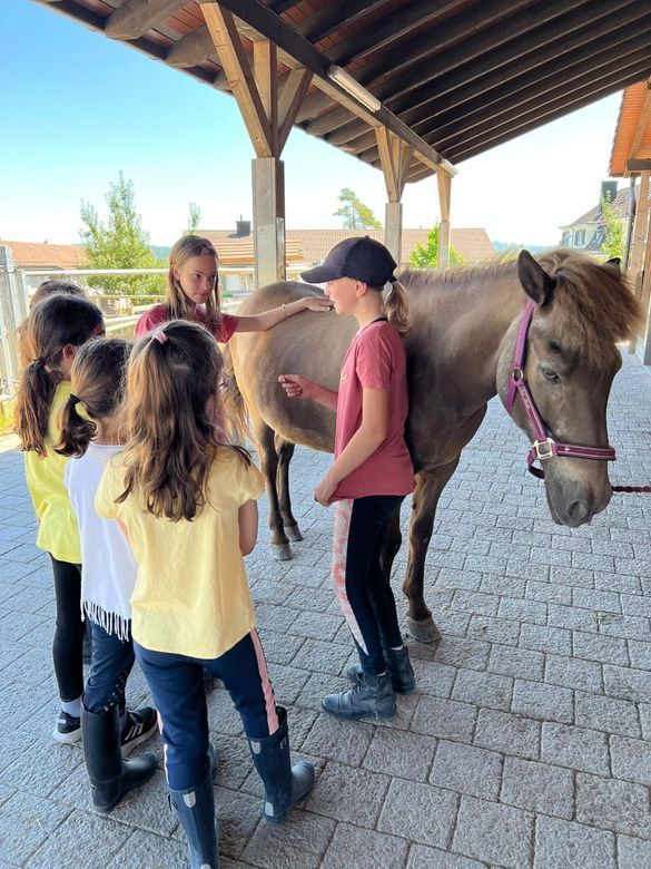 Kinder putzen ein Pony