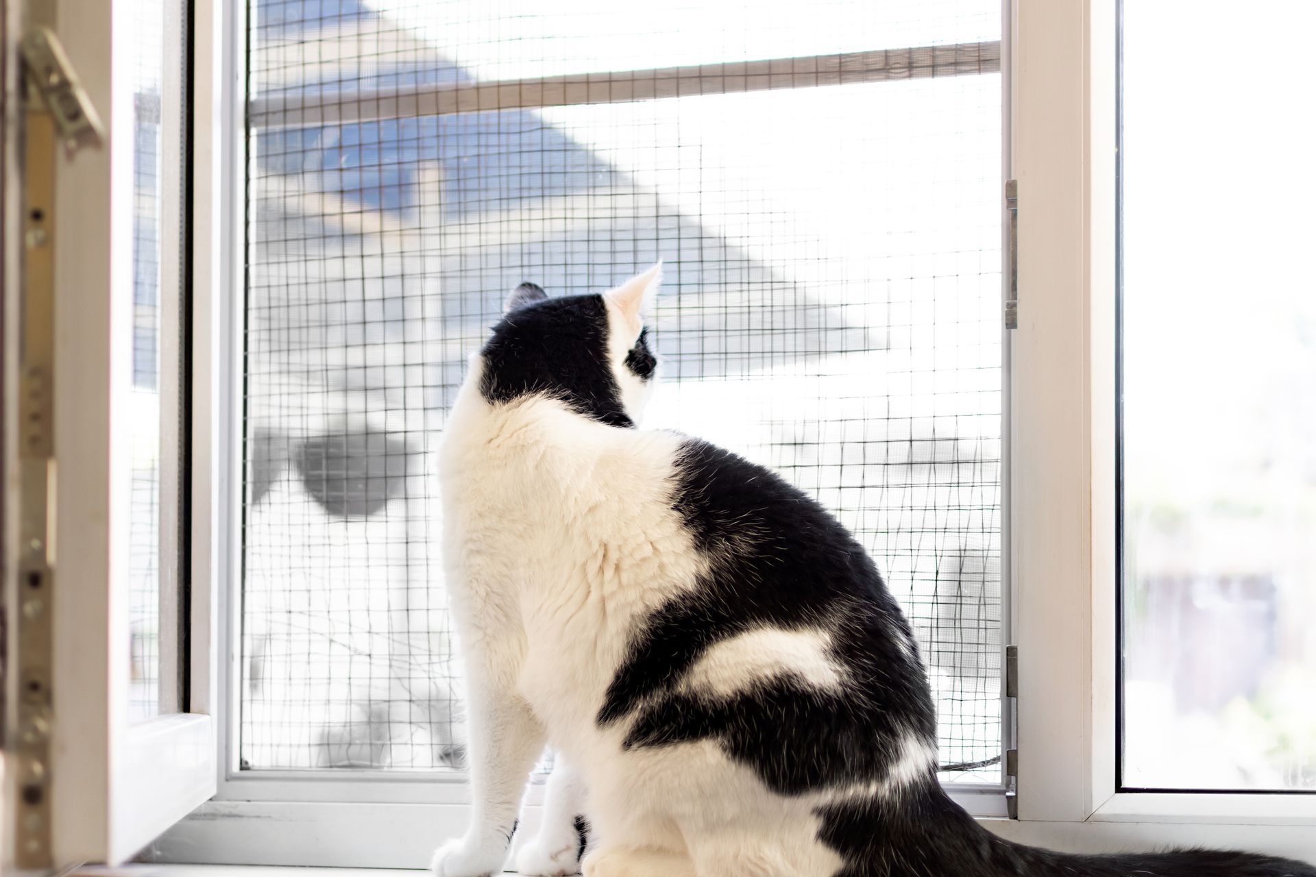 Katzennetz in einem Garten. Foto von der Stöckli Katzenschutz GmbH