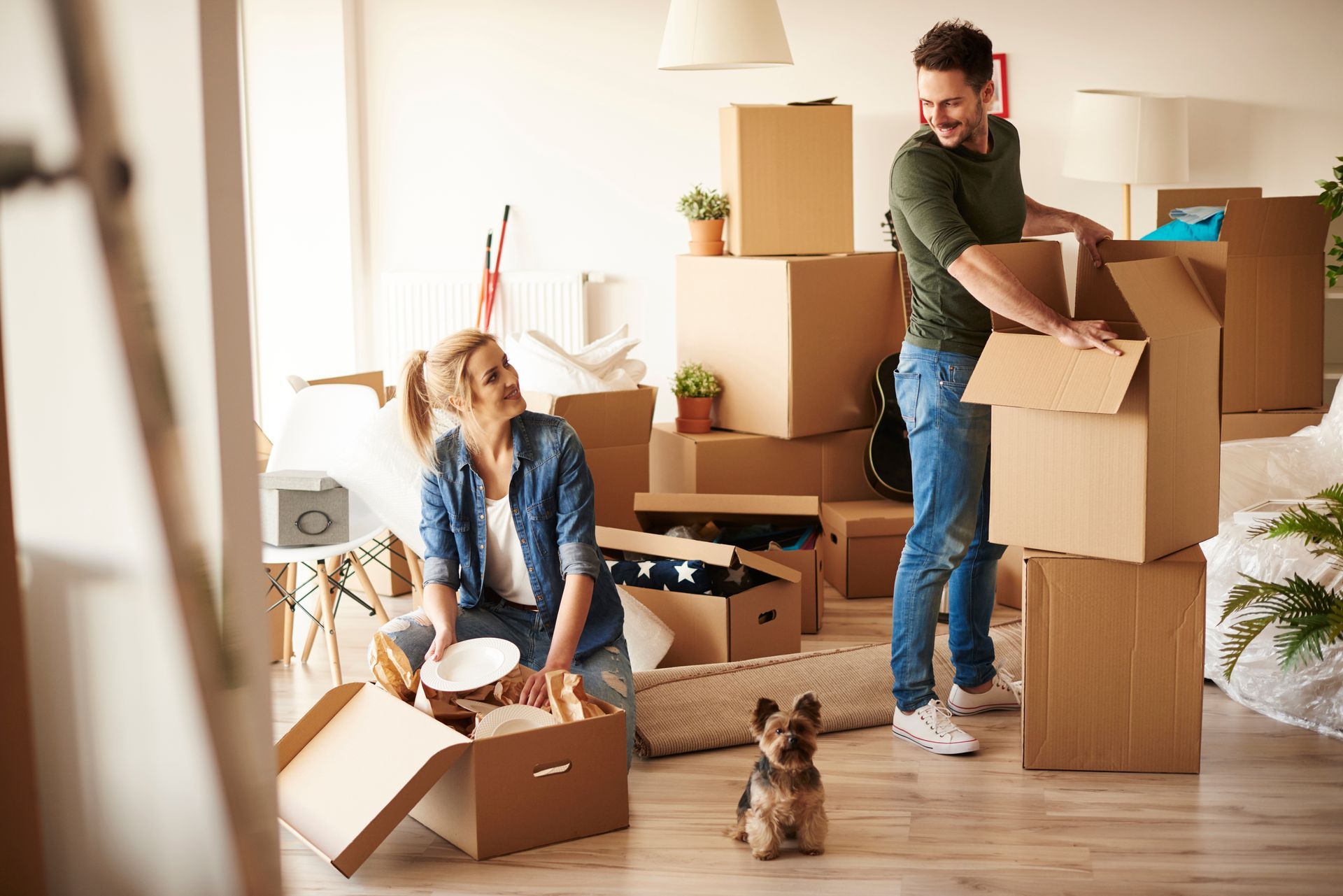 Un couple déballe des cartons dans un salon lumineux, avec un petit chien sur le sol.