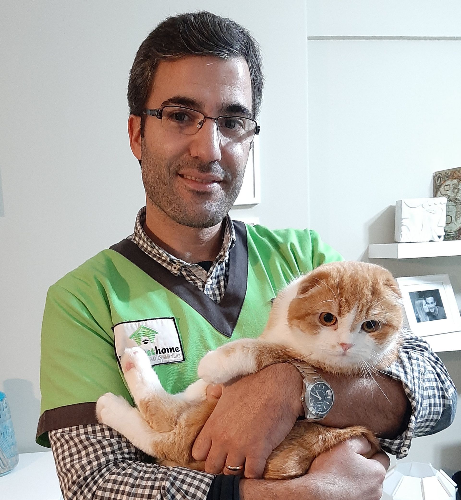 Homevethome - veterinário ao domicílio