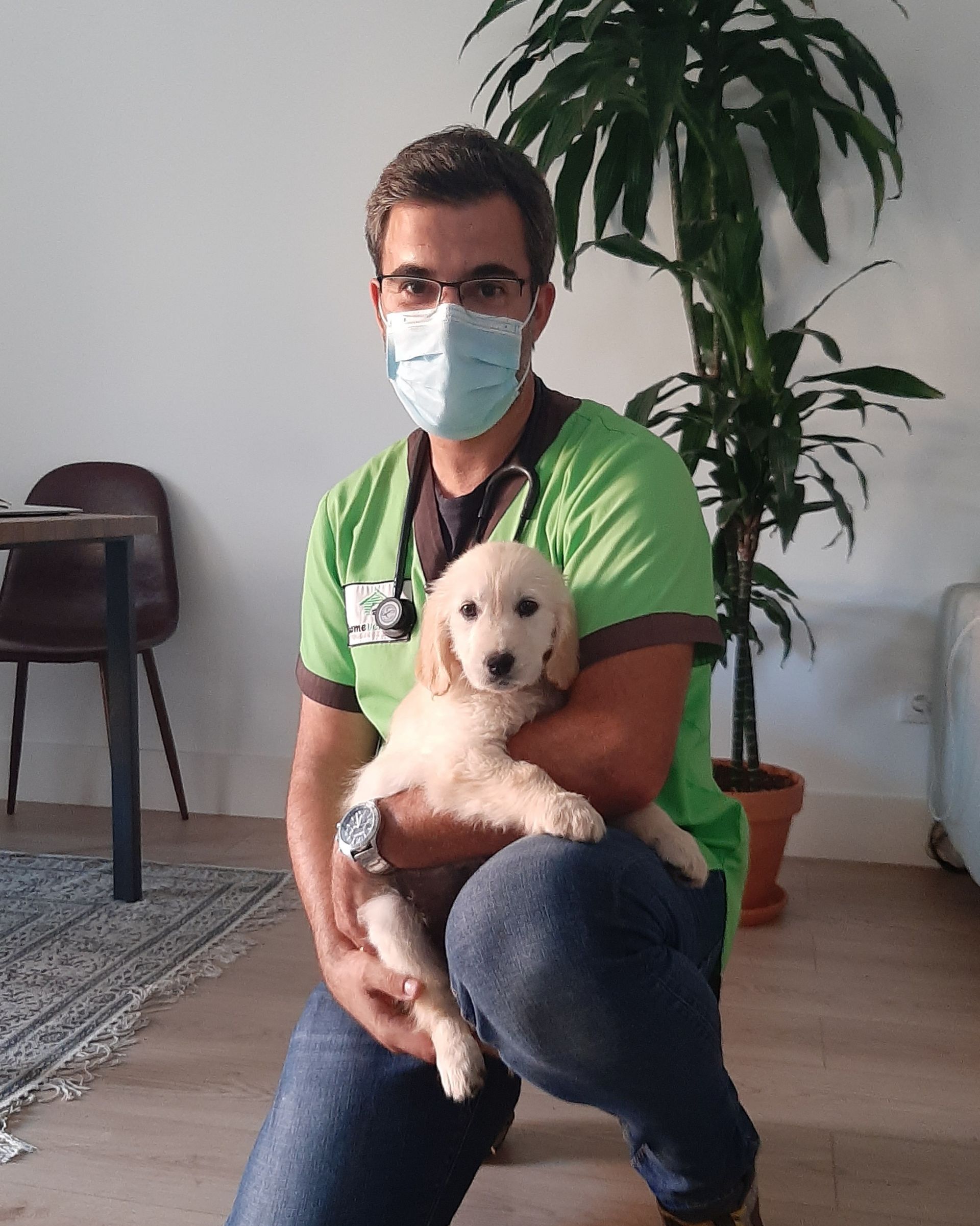 Homevethome - veterinário ao domicílio