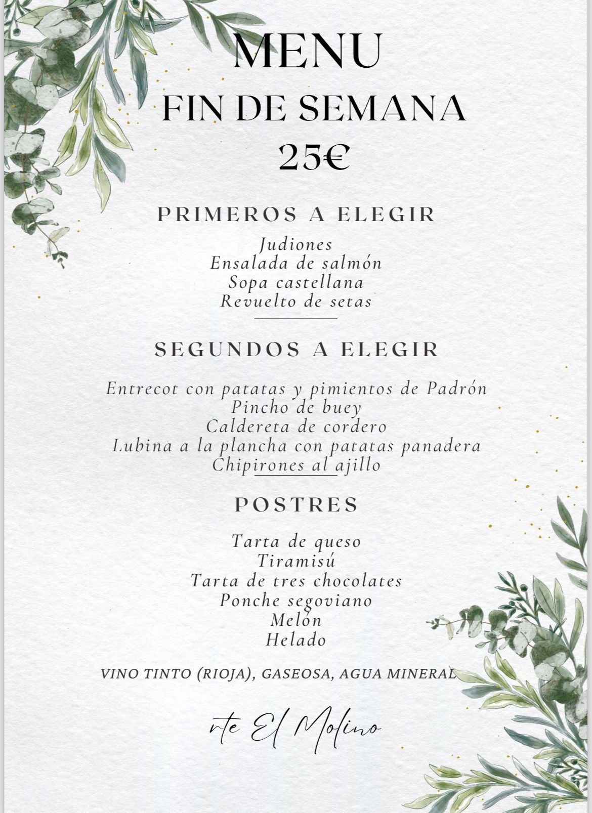 Un menú para un restaurante en español con una planta en él.