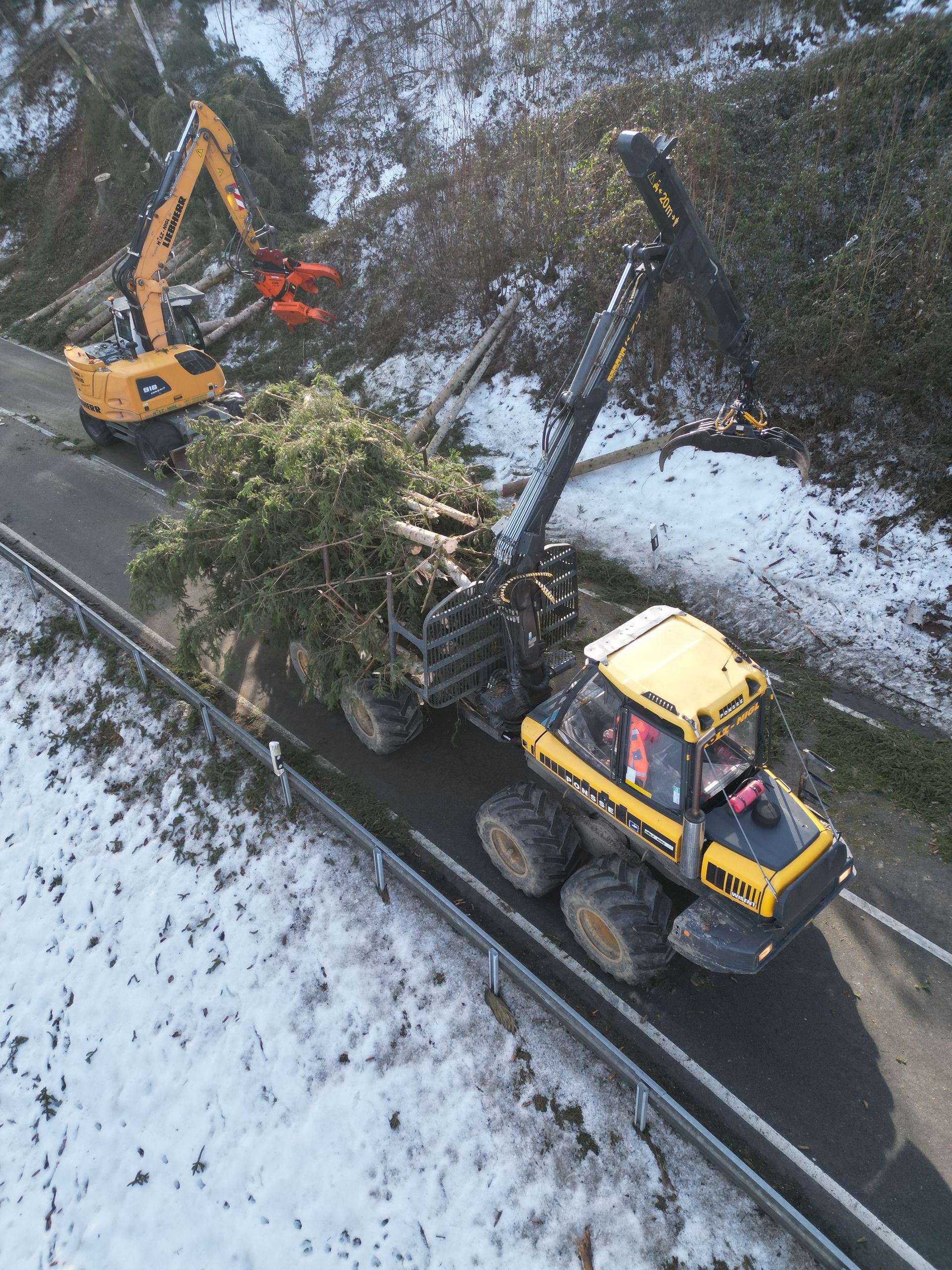Ein Baum wird an einem Berghang gerodet