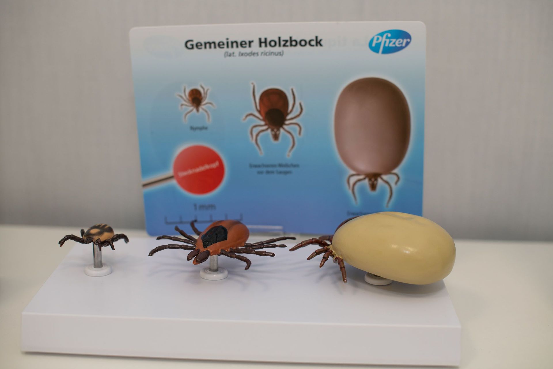 Gotthard Apotheke Drogerie Parfümerie