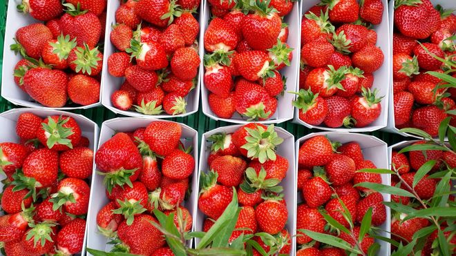Äpfel - Obst- und Weinbau in Andelfingen