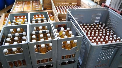 Äpfel - Obst- und Weinbau in Andelfingen