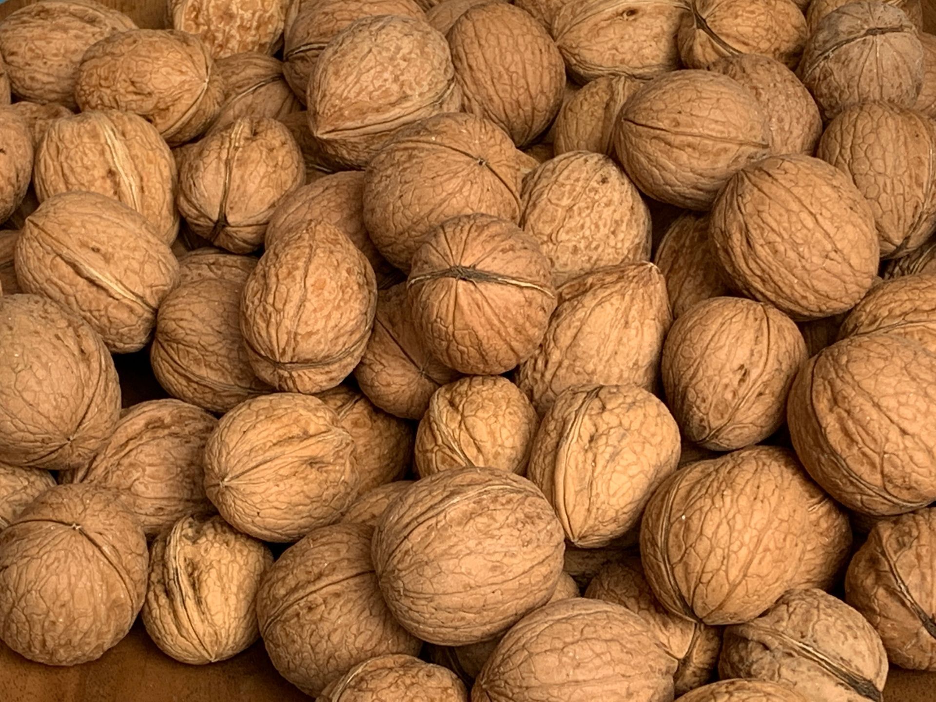 Äpfel - Obst- und Weinbau in Andelfingen