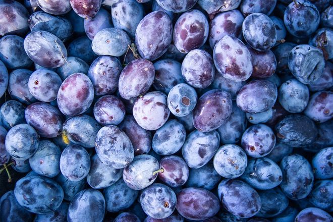 Äpfel - Obst- und Weinbau in Andelfingen