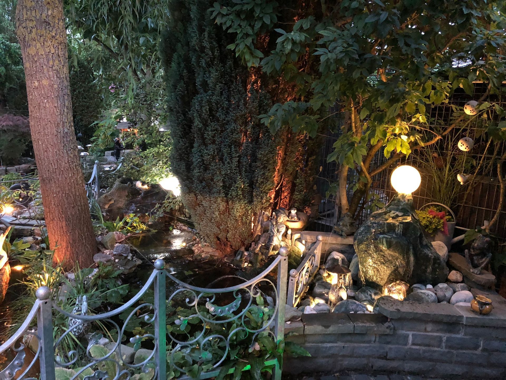 Aufnahmen vom Garten