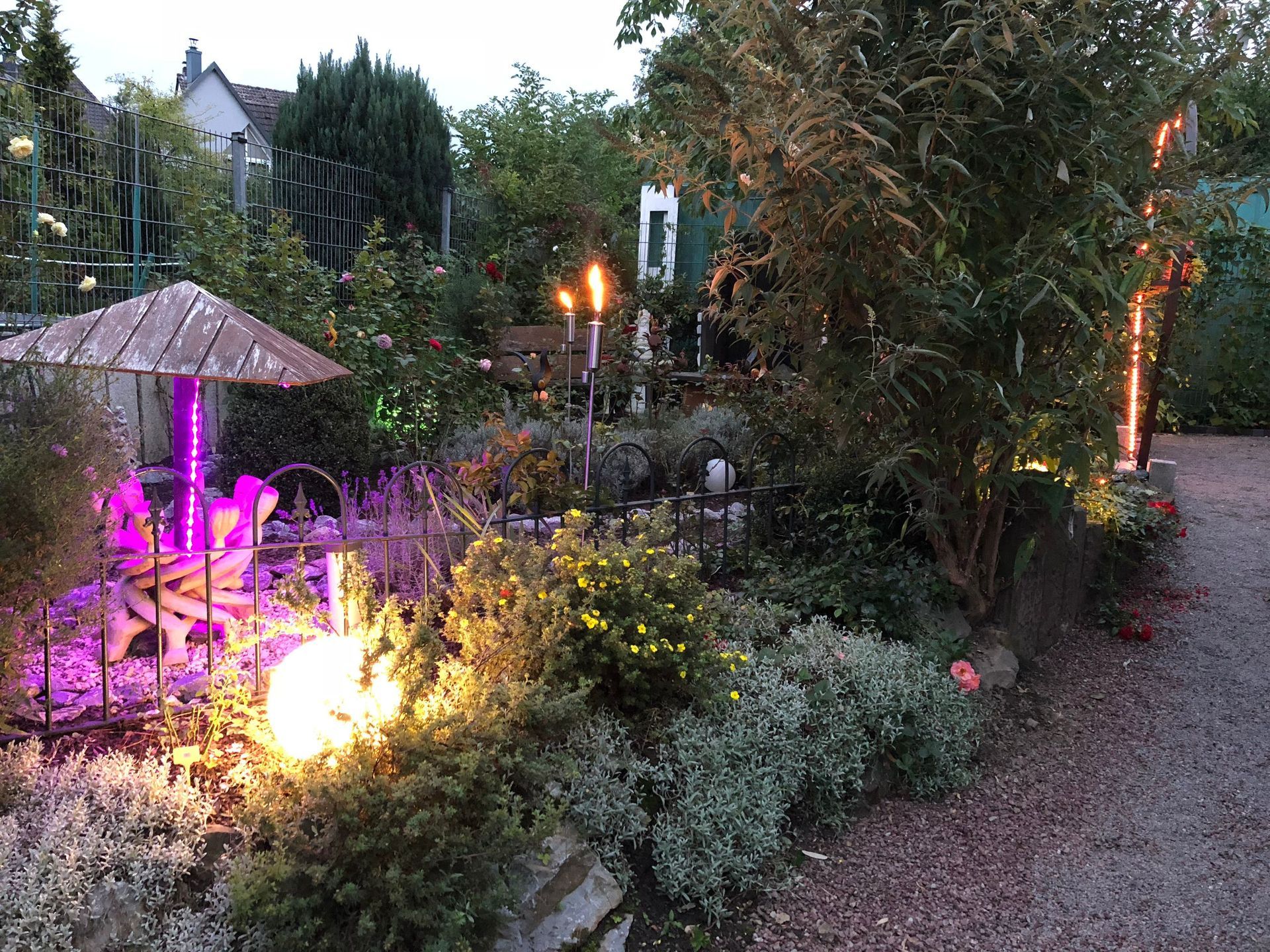 Pinke Beleuchtung im Garten