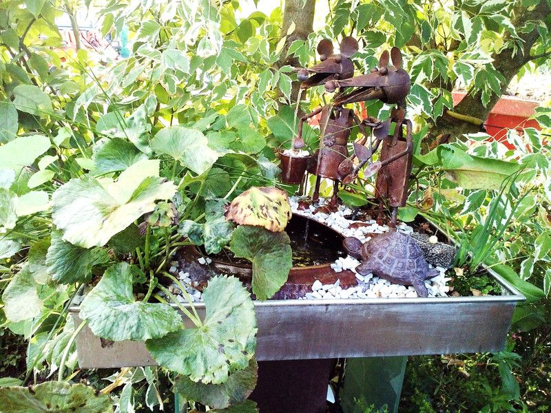 Wasser und Garten 13