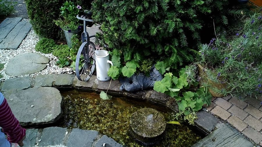 Wasser und Garten 14